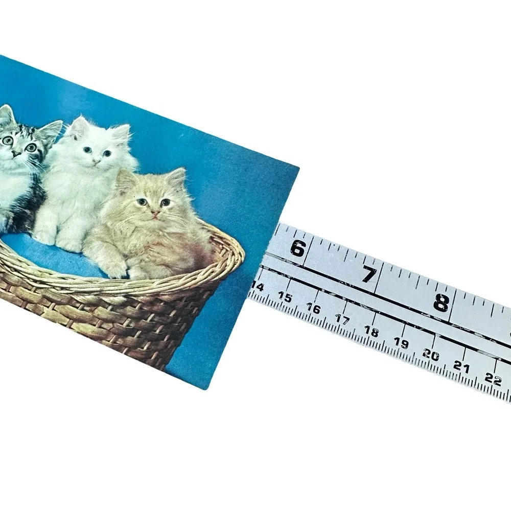 Unused New Vintage Kittens‎ in Basket Postcard Bob Petley Phoenix AZ 1960s